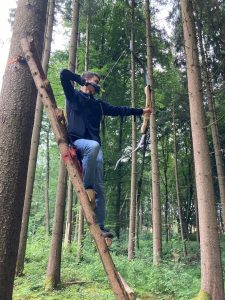 Dieses Bild hat ein leeres Alt-Attribut. Der Dateiname ist linus-1-225x300.jpeg