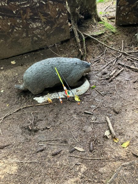 Dieses Bild hat ein leeres Alt-Attribut. Der Dateiname ist viech-450x600.jpeg