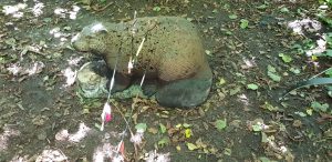 Dieses Bild hat ein leeres Alt-Attribut. Der Dateiname ist 20210904_150016-300x146.jpg